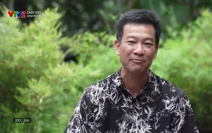 Chất Việt: Chuyện của tre