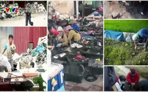 Phát triển bền vững: Rác thải điện tử