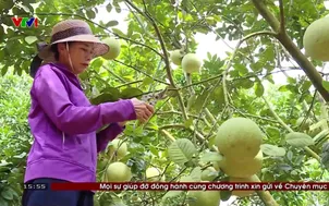 Về quê - 18/10/2025