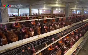 Bạn của nhà nông - 20/10/2025