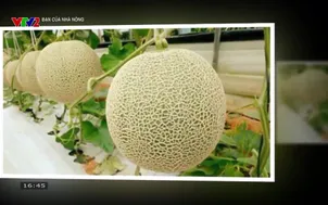 Bạn của nhà nông - 23/10/2025