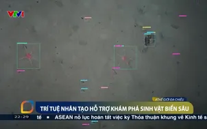 Trí tuệ nhân tạo hỗ trợ khám phá sinh vật biển sâu