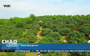 Ra mắt bản đồ nông sản số