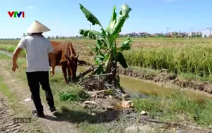 Về quê - 25/10/2025