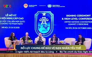 Nỗ lực chung để bảo vệ nạn nhân yếu thế