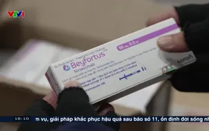 Việt Nam có kháng thể đơn dòng phòng viêm phổi do RSV