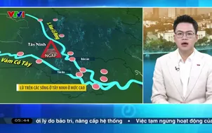 Bản tin thời tiết 5h30 - 26/10/2025