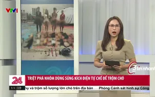 Triệt phá nhóm súng kích điện tự chế để trộm chó