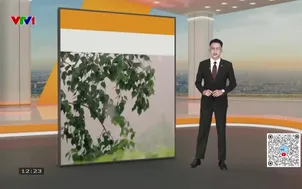 Bản tin thời tiết 12h30 - 27/10/2025