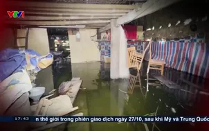 Vực dậy sau lũ