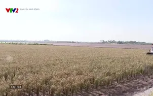 Bạn của nhà nông - 27/10/2025
