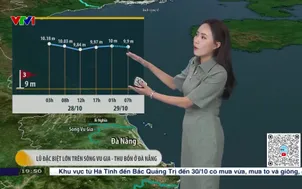 Bản tin thời tiết 19h45 - 28/10/2025