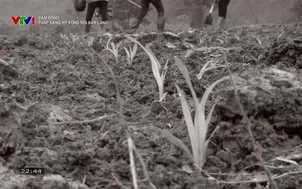 Dám sống: Thắp sáng hy vọng nơi bản làng