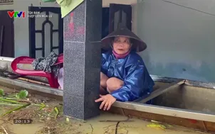 Tọa đàm: Vượt lên mưa lũ