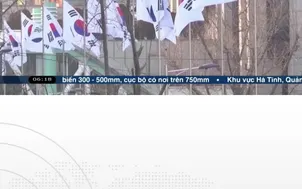 A.I khiến giới trẻ Hàn Quốc mất hàng trăm nghìn việc làm