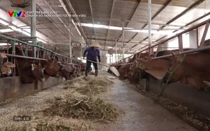 Phát triển bền vững: Chuyển đổi xanh hướng tới NN bền vững