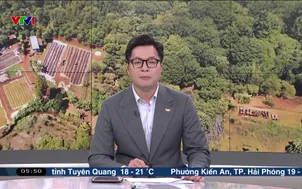 Doanh nghiệp Việt trước quy định của EU về chống mất rừng