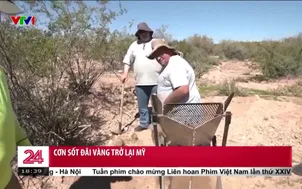 Cơn sốt đãi vàng trở lại Mỹ