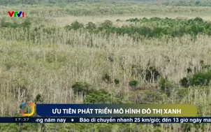 Ưu tiên phát triển mô hình đô thị xanh