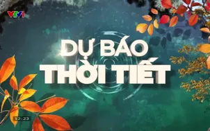 Bản tin thời tiết 12h30 - 05/11/2025