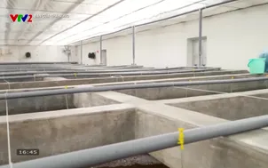 Bạn của nhà nông - 05/11/2025