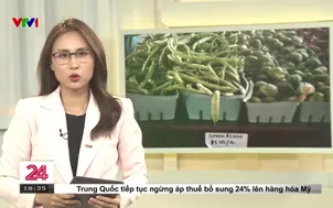 Chính quyền Mỹ cho trả một phần trợ cấp thực phẩm