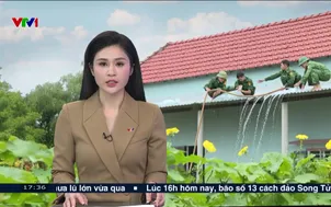 Quảng Ngãi khẩn trương chuẩn bị ứng phó bão số 13