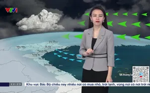 Bản tin thời tiết 12h30 - 07/11/2025