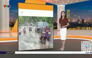 Bản tin thời tiết 19h45 - 07/11/2025