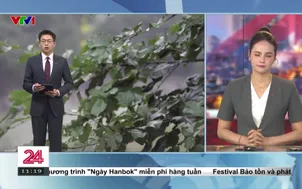 Bản tin thời tiết 11h30 - 07/11/2025