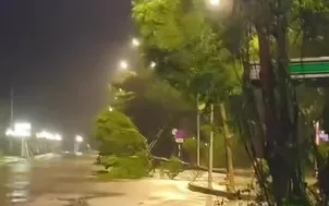 Cây đổ, cột lớn bị quật ngã trong bão số 13 