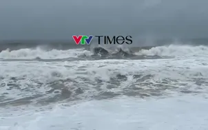 Người dân ven biển chủ động đắp đê cát, gia cố bờ chắn sóng trước bão