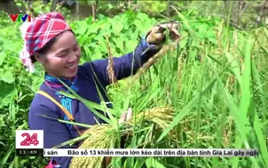 Người dân tạo sinh kế từ phát triển du lịch cộng đồng