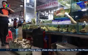 Nhật Bản nối lại xuất khẩu hản sản sang Trung Quốc