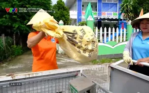 Học và làm theo Bác: Học Bác từ những việc làm nhỏ