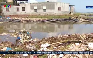 Gia Lai: Người nuôi trồng thủy sản mất trắng sau bão