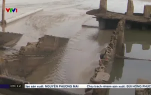 Đề xuất khai quật khẩn cấp tàu cổ tại Hội An