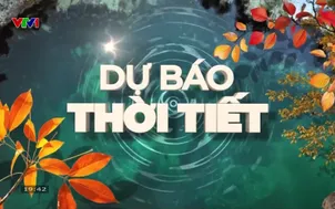 Bản tin thời tiết 19h45 - 11/11/2025