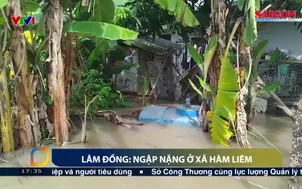 Lâm Đồng: Ngập nặng ở xã Hàm Liêm