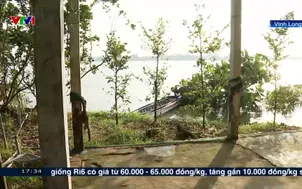 Sạt lở đe dọa các hộ dân ở Cồn Thanh Long