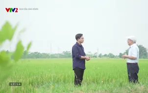 Bạn của nhà nông - 14/11/2025