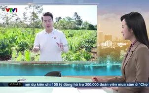 Ngày mới tại khu vườn xen canh