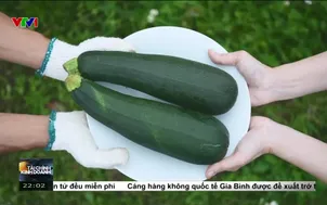 Giảm thiểu rác thải thực phẩm - Từ nông trại đến bàn ăn