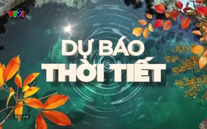Bản tin thời tiết 12h30 - 14/11/2025