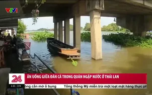 Ăn uống giữa đàn cá trong quán ngập nước ở Thái Lan