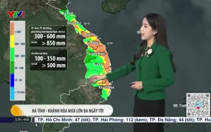 Bản tin thời tiết 19h45 - 15/11/2025