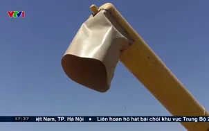 Nông nghiệp toàn cầu thiệt hại nghìn tỷ USD do thiên tai