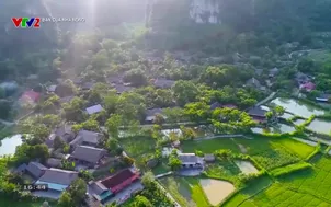 Bạn của nhà nông - 17/11/2025