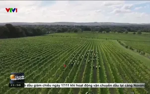 Khi Robot làm nông nghiệp tại châu Âu