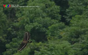 Phim tài liệu: Vương quốc xanh bên dòng Quây Sơn - Phần 1